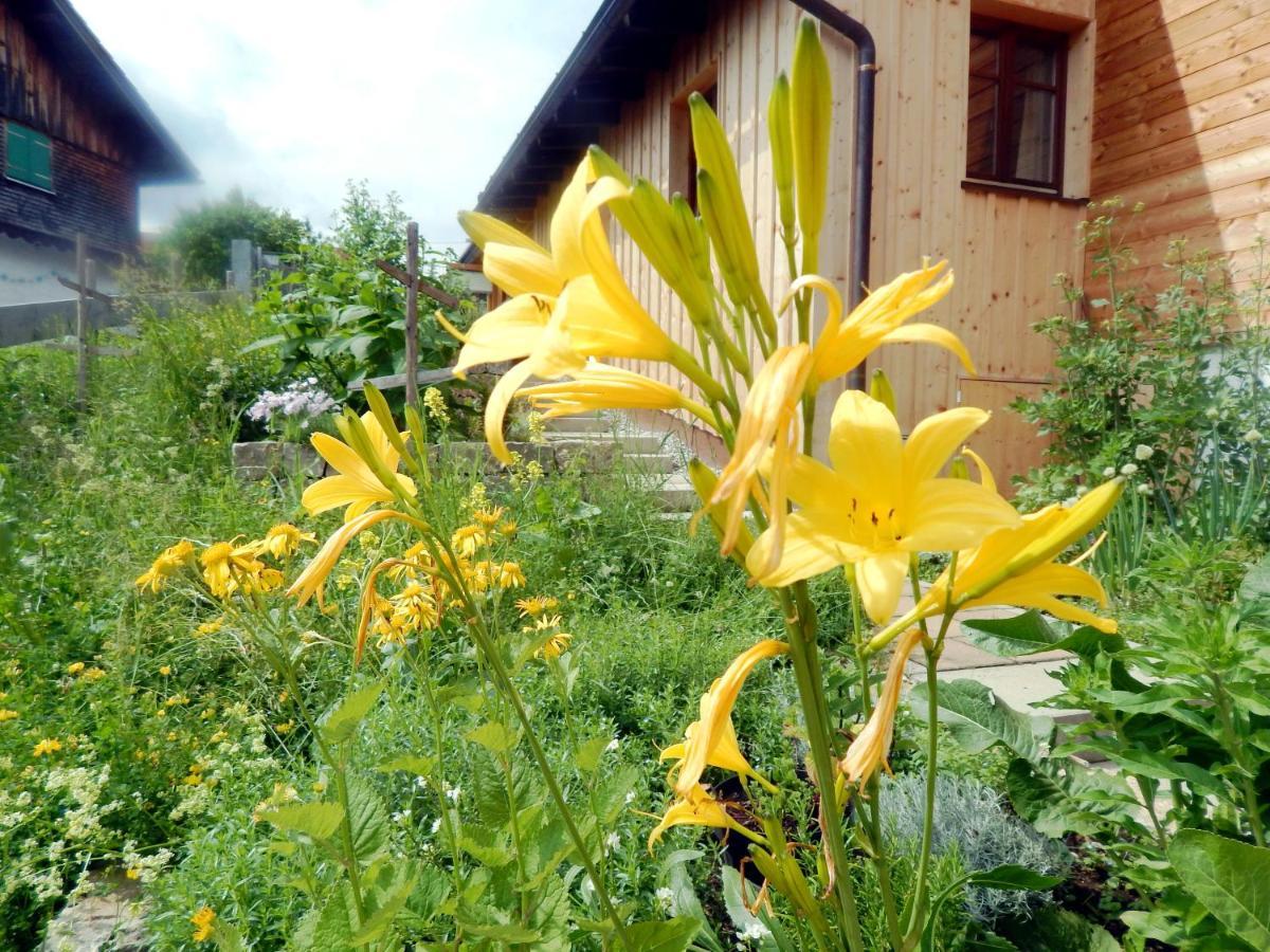 Berggasthof Sonne Allgaeu Sonthofen Dış mekan fotoğraf