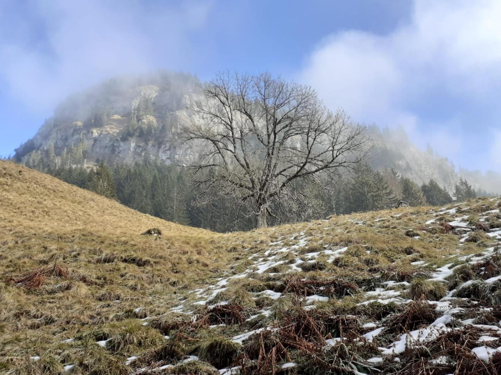 Berggasthof Sonne Allgaeu Sonthofen Dış mekan fotoğraf